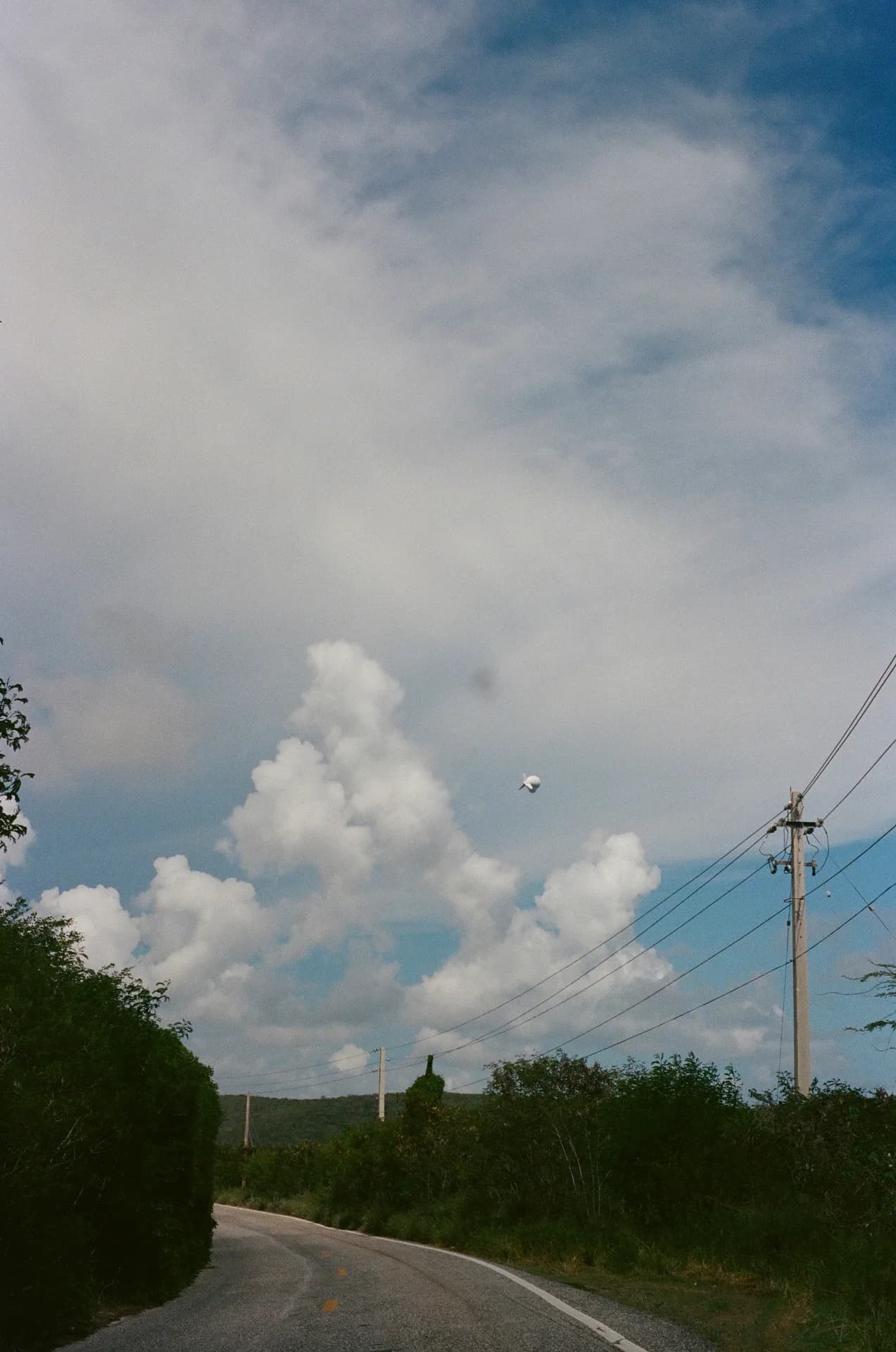 Blimp